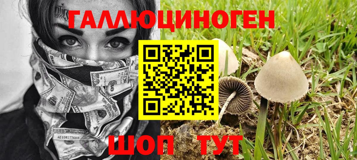 Галлюциногенные грибы Magic Shrooms  Галлюциногенные грибы Psilocybine cubensis  Вход с VPN  где найти наркотики  Улан-Удэ 